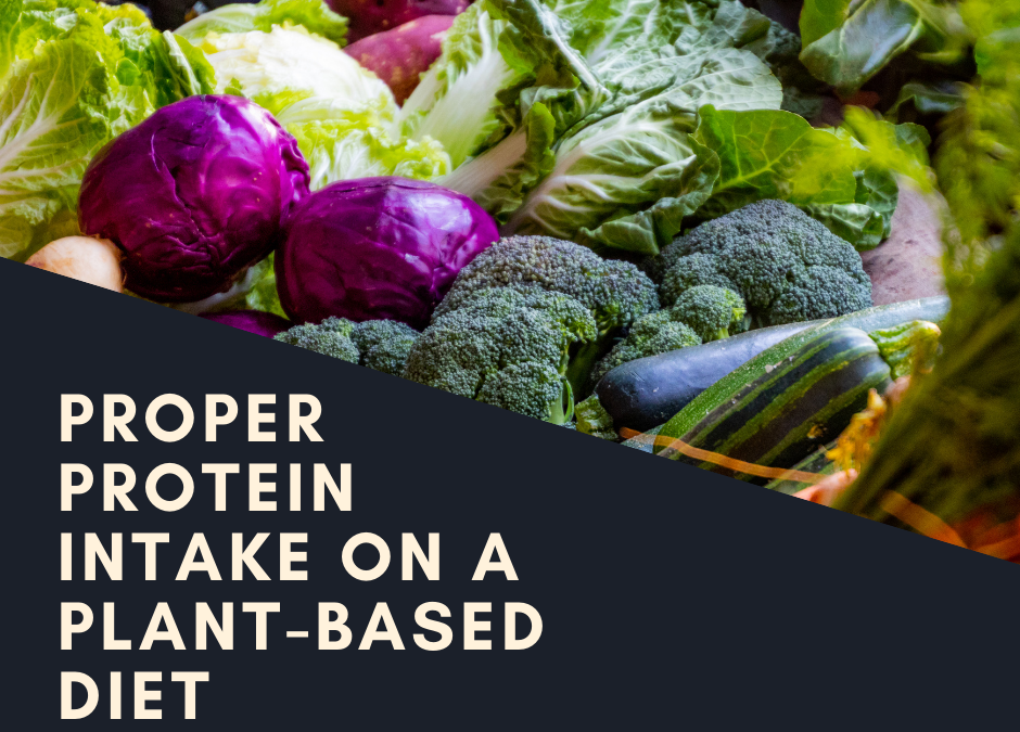 Proper Protein Intake on a Plant-Based Diet
