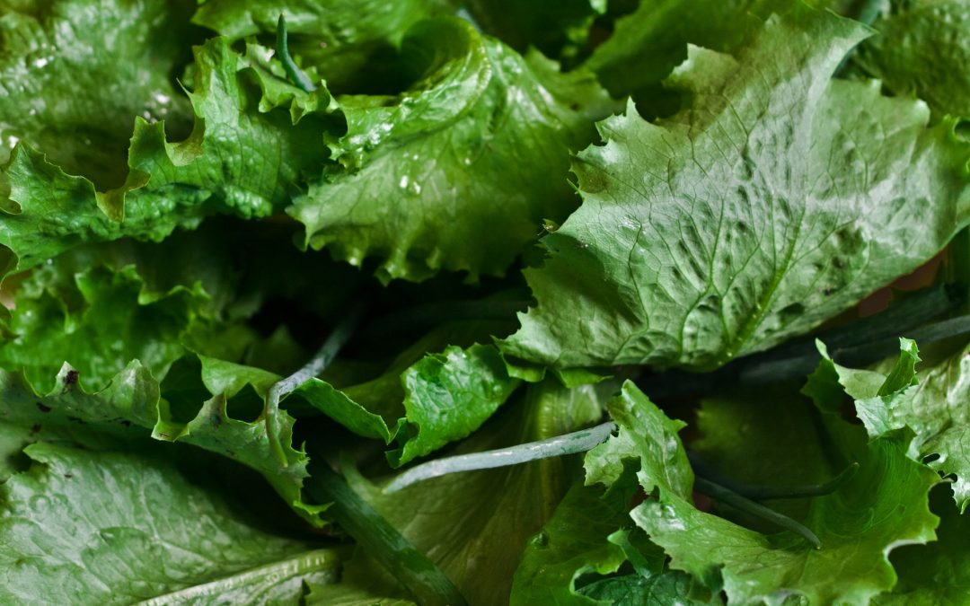 To Bag or Not to Bag? Salad Greens and Their Nutrients